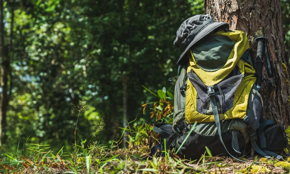 Backpacks
