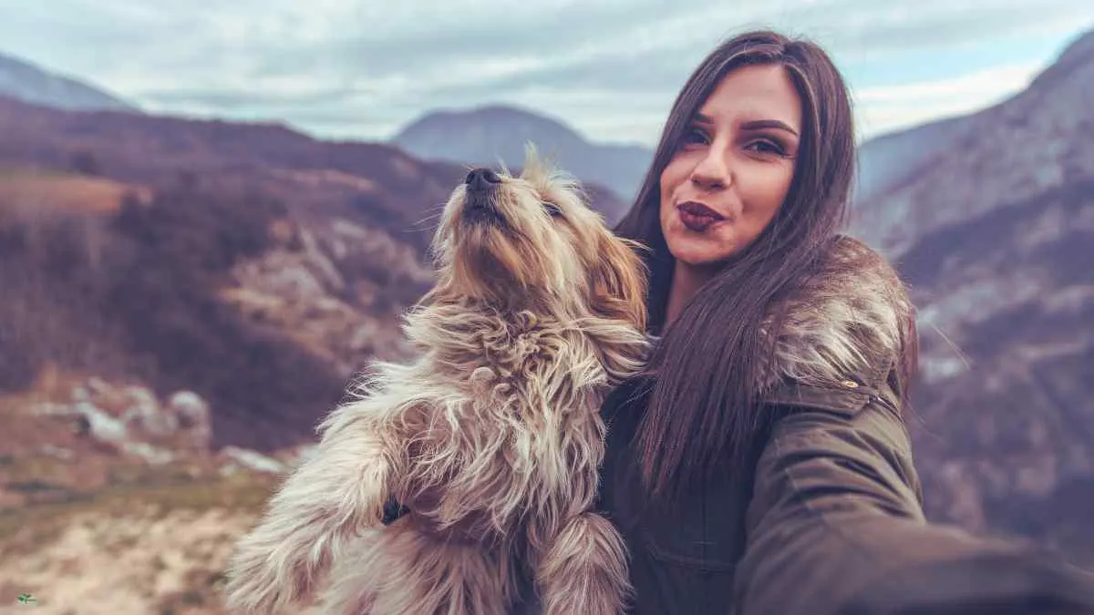 Can I Travel To Europe With My Dog