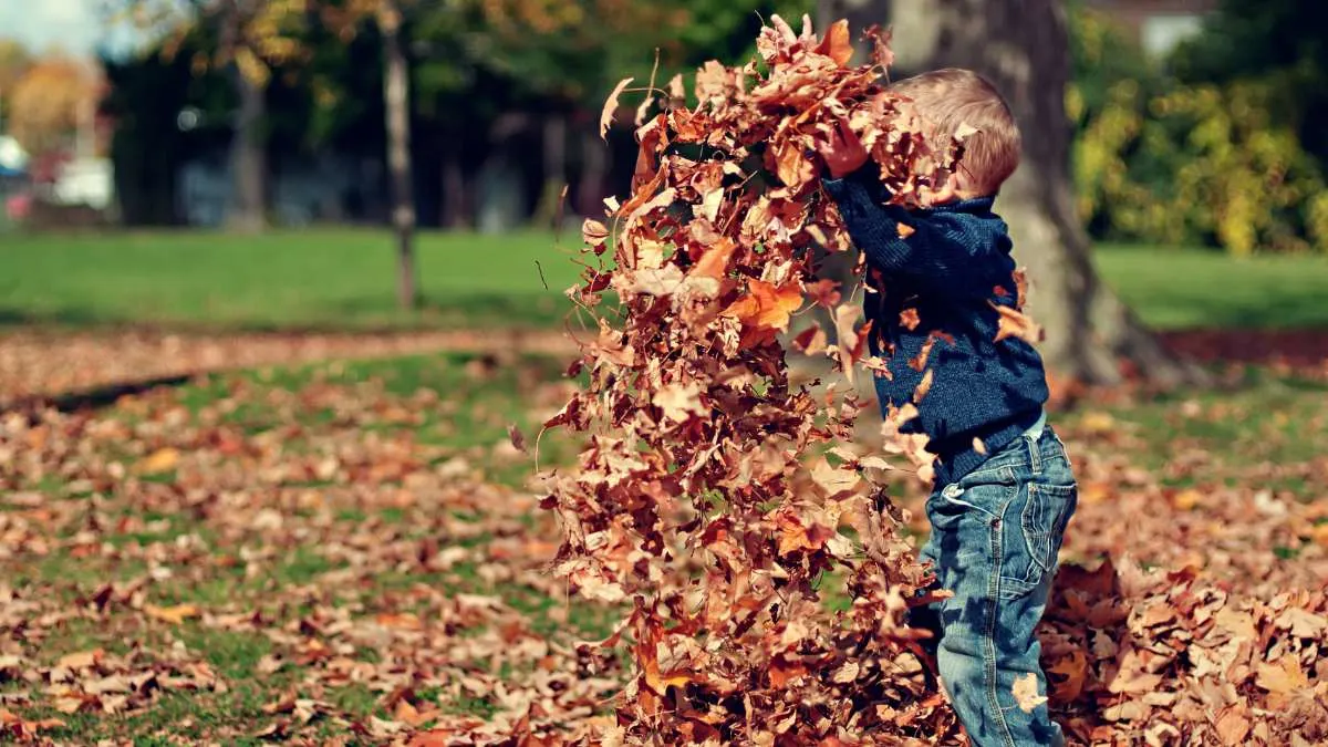 Fall Activities