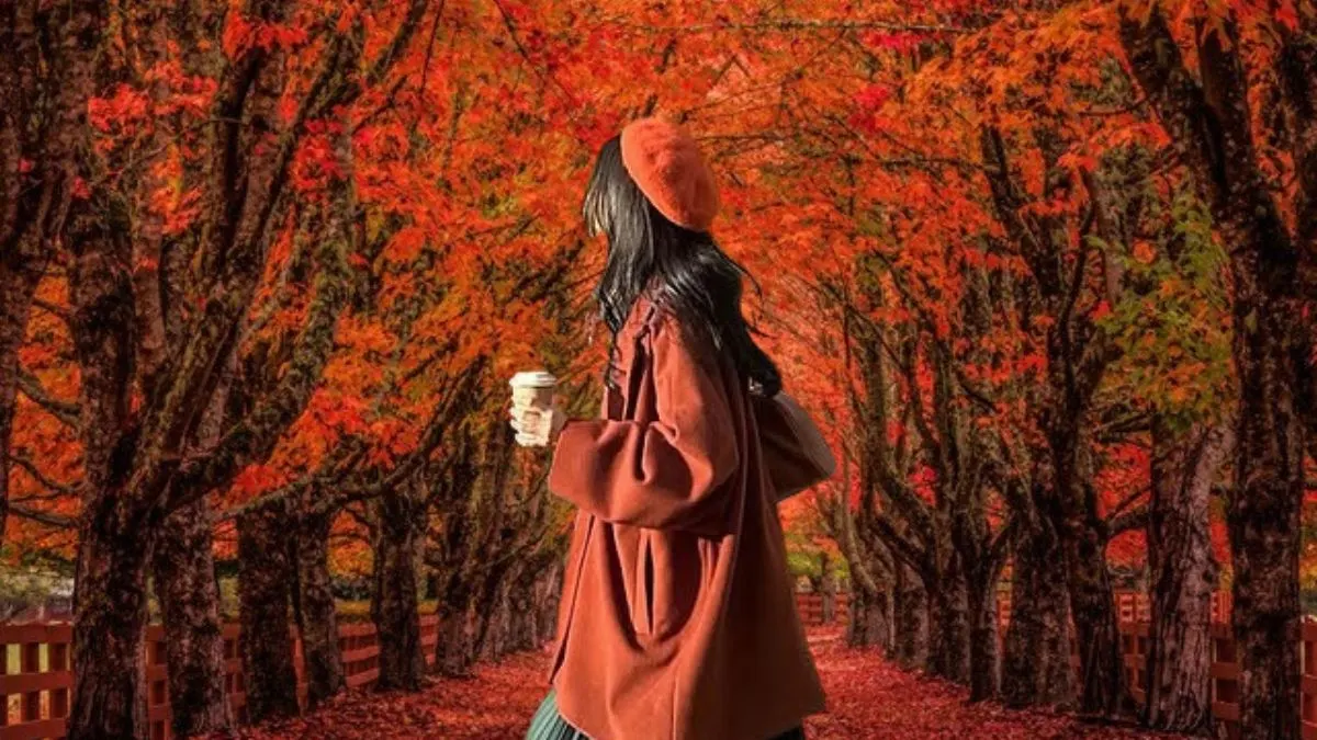 Fall Travel Outfit