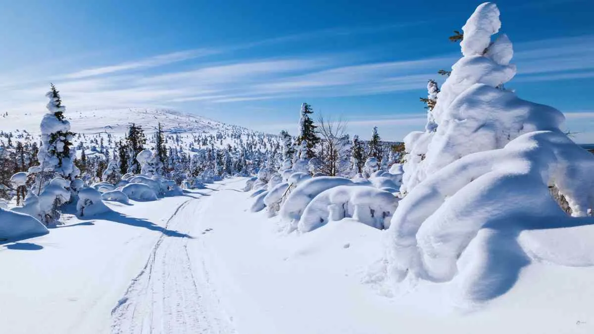 Finland – Lapland