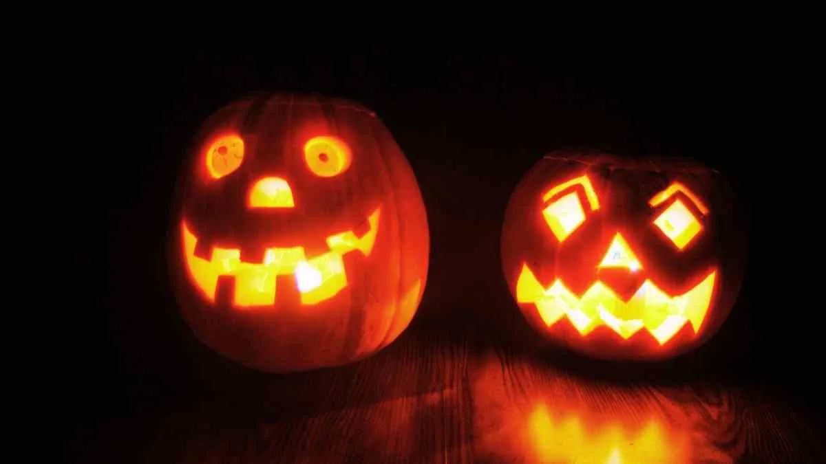 Halloween Fun