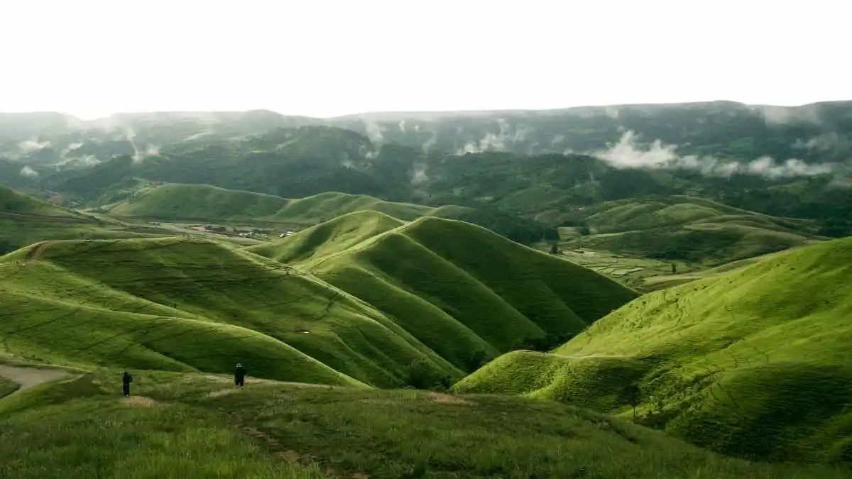 Nature