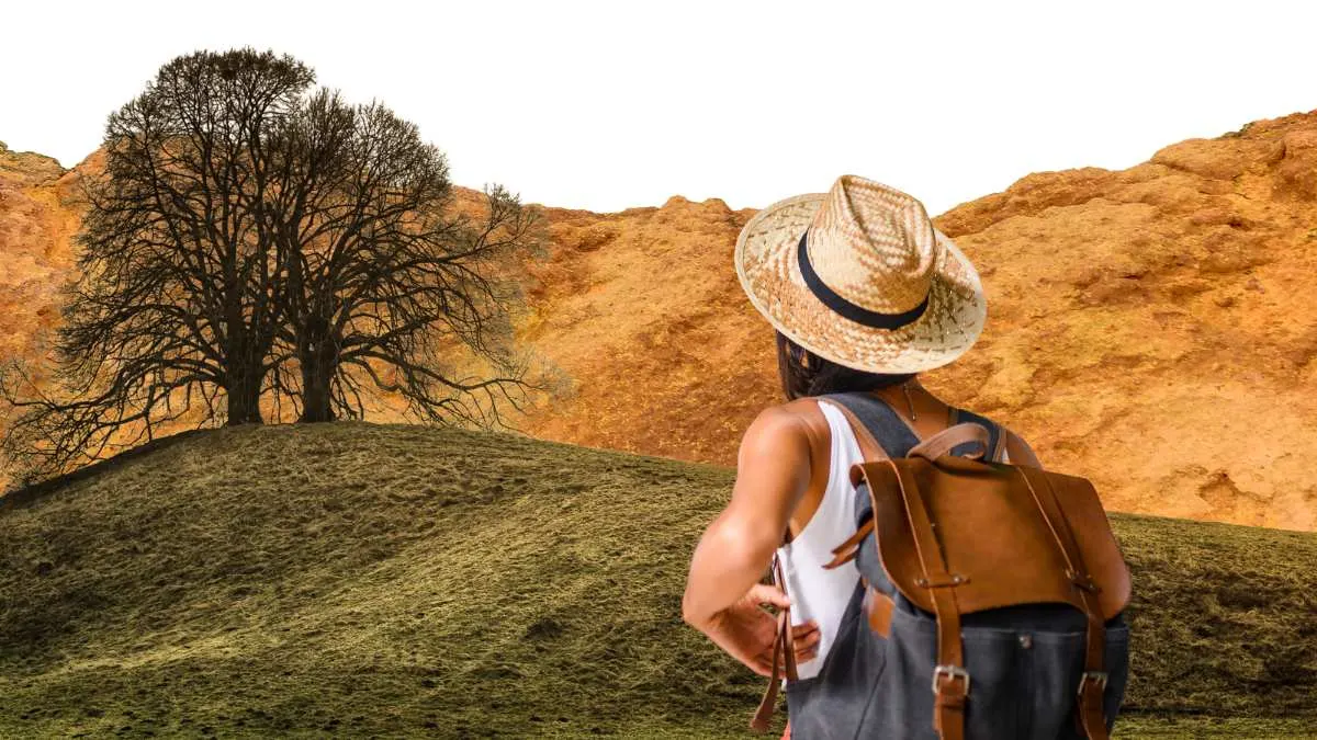 Solo Travel 