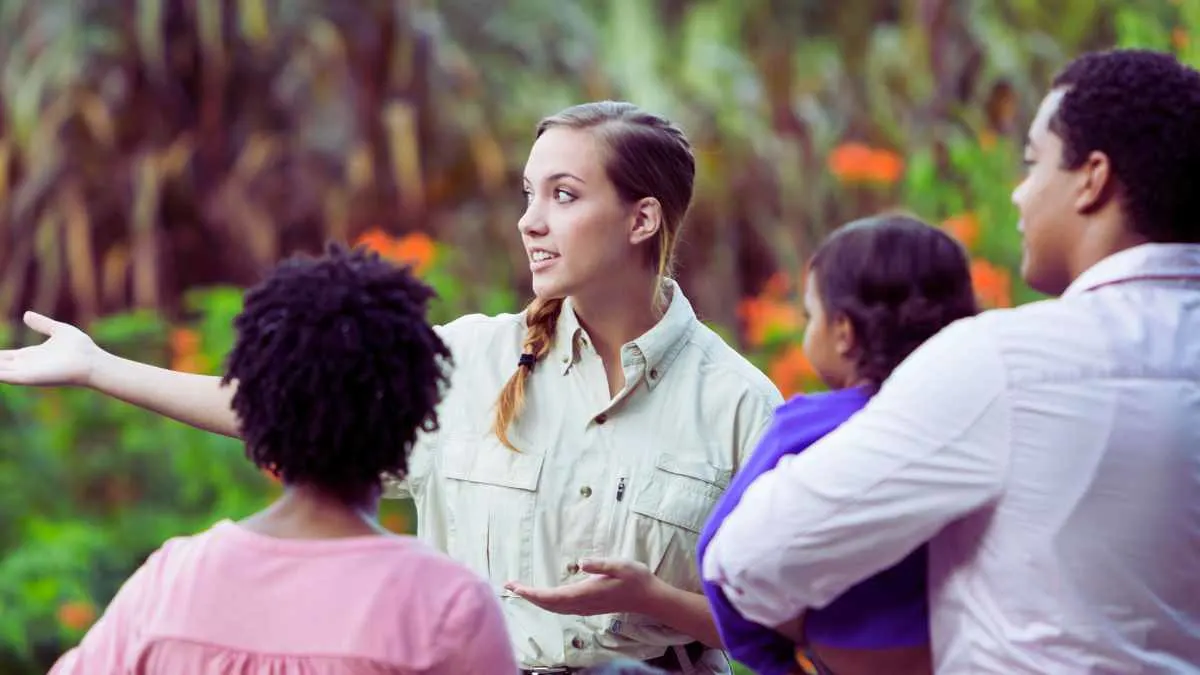 Travel Guides For Beginners