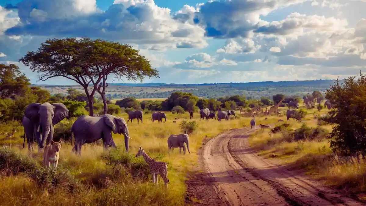 Kruger National Park, South Africa